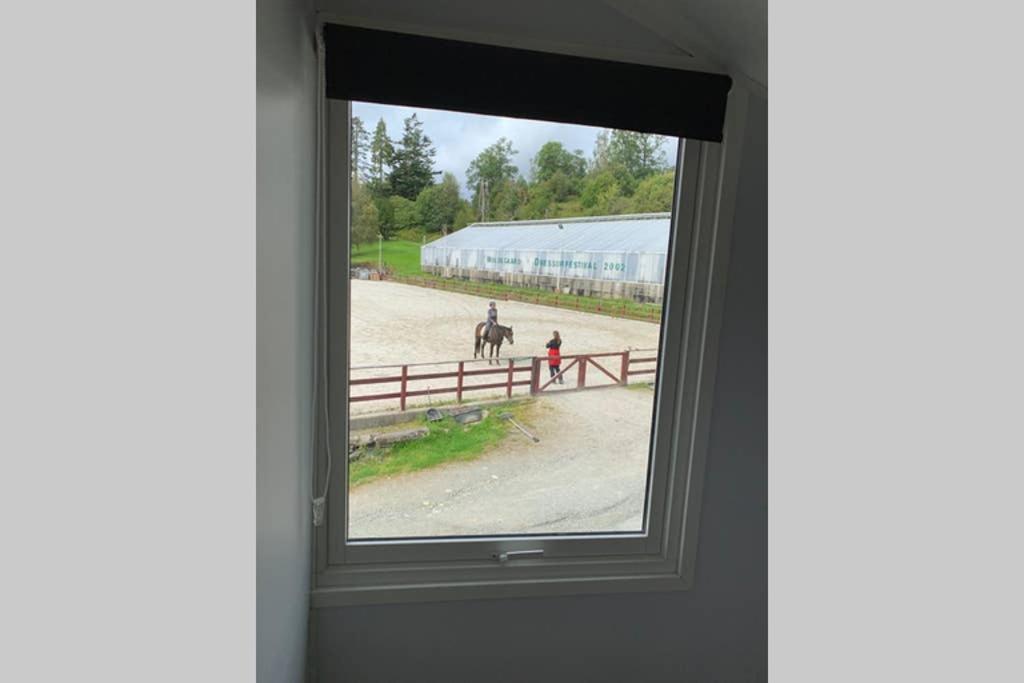Moldegaard Riding Lodge Moldegard Eksteriør bilde